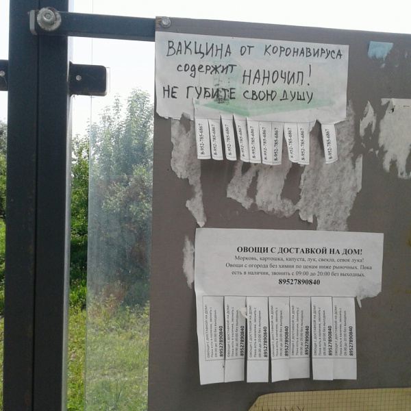 Вакцина и наночип - 2.jpg